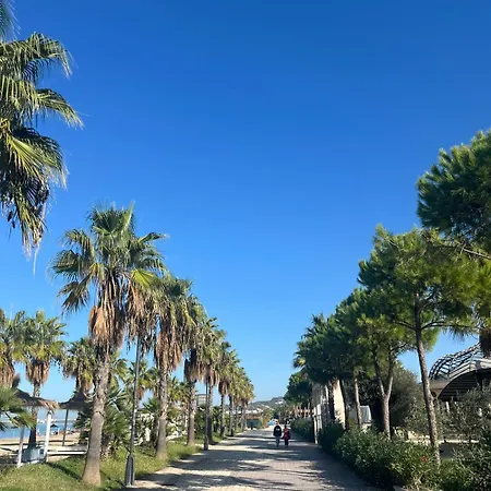 Relax * גולם